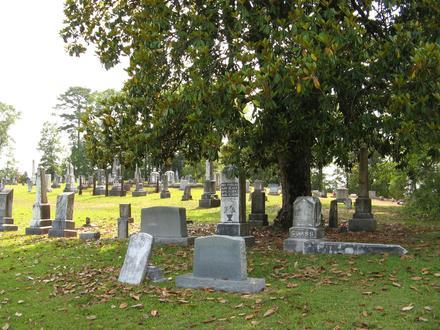 Sallis Image