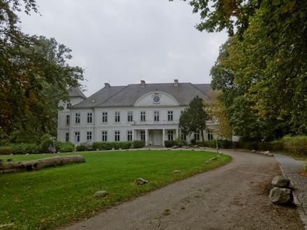 Image de Noer