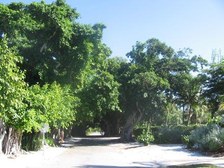 Boca Grande Image