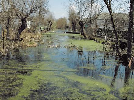 Vylkove Image