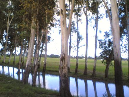 Pilibhit Image