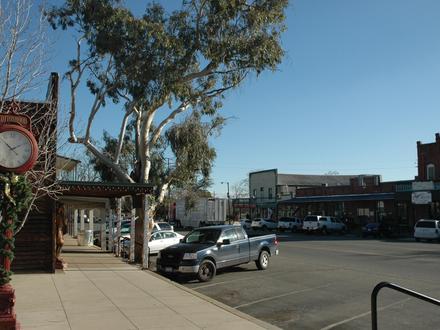 Cottonwood Image