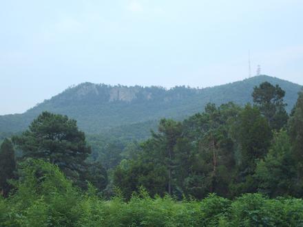 Gambar Gastonia
