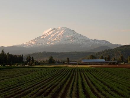 Trout Lake Image