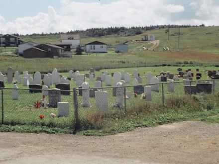 Rocky Harbour Image
