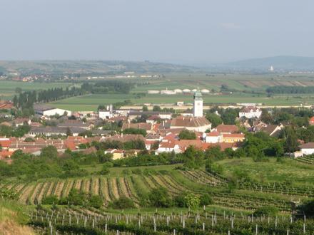 Retz Image