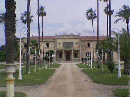 Jacarilla Image