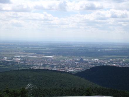 Neustadt an der Weinstraße Image