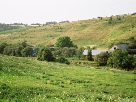 Zaburze Image