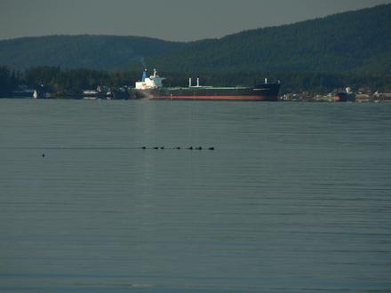 Bay View Image