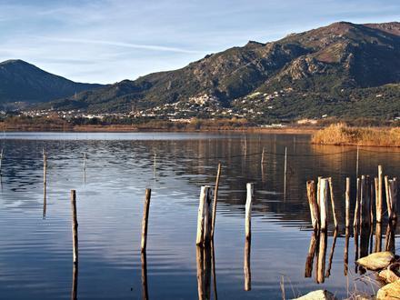 Biguglia Image