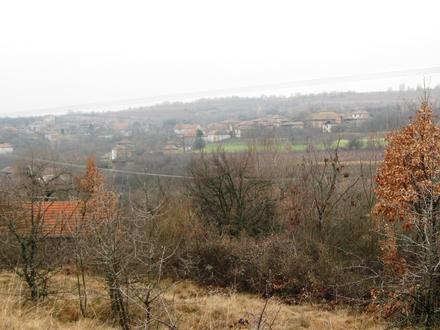 Lozane Image