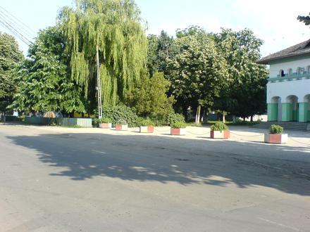 Amărăştii de Jos Image