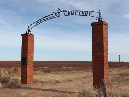 Grassland Image