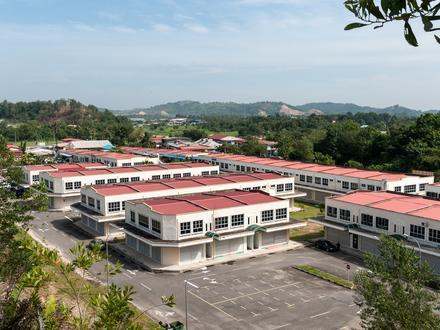 Telipok Image