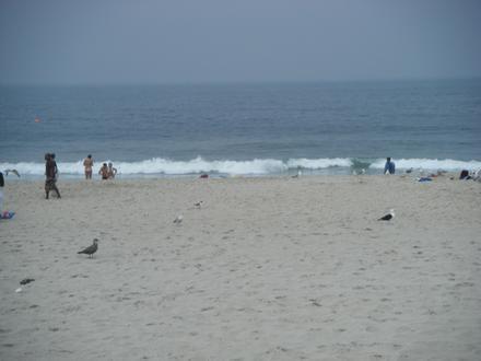 Seaside Heights Image