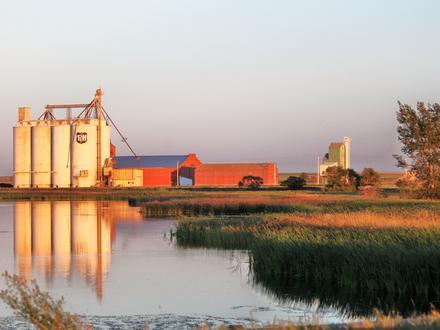 Raymond Image