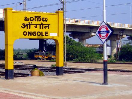 Ongole Image