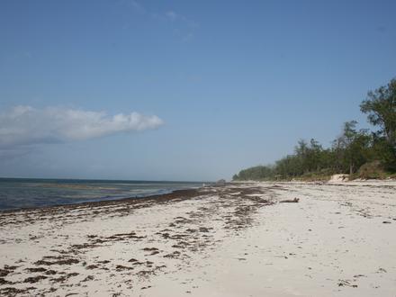 Watamu Image
