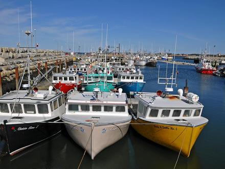Clark's Harbour Image