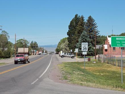 Manassa Image