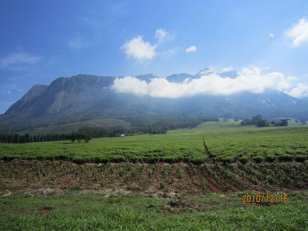 Mulanje Image