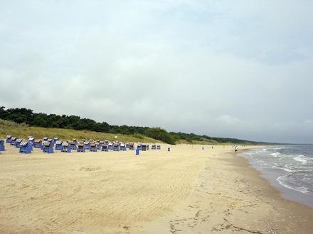 Trassenheide Image