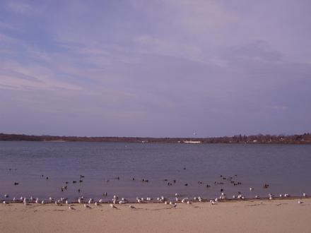 Lake Ronkonkoma Image