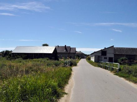Brzózki Falki Image