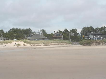 Manzanita Image