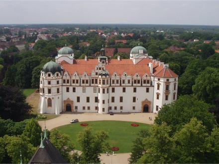 Celle Image