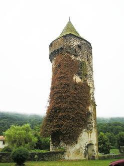 Imatge de Rofiac de Sant Flor Imatge de Rofiac de Sant Flor