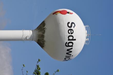 Sedgwick Image