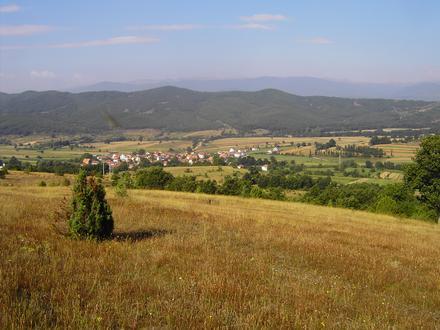 Popowjani Image