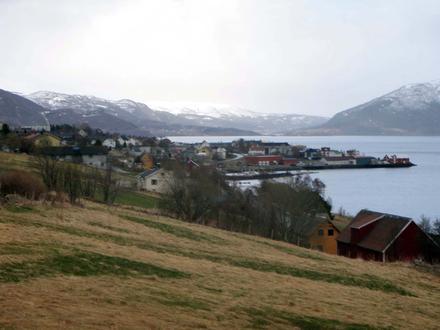 Borkenes Image