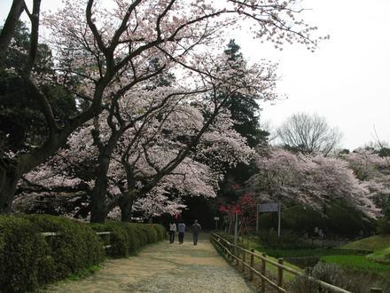 野田市 Image
