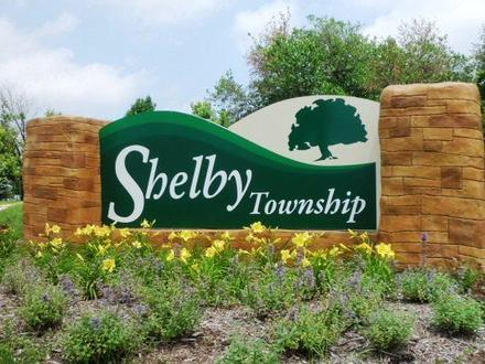 Shelby Image