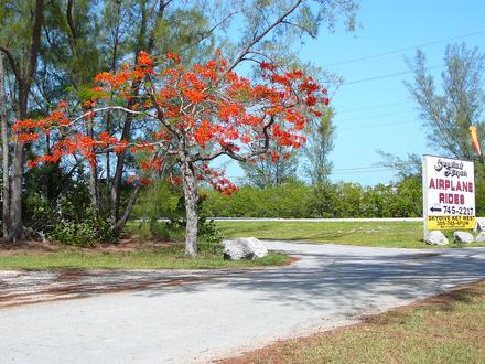 Sugarloaf Shores Image