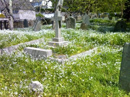 Helston Image