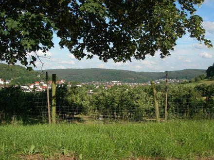 Höchst im Odenwald Image