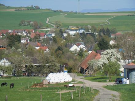 Ühlingen-Birkendorf Image