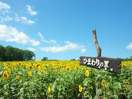 Hokuryū Image