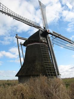 Hallum Image