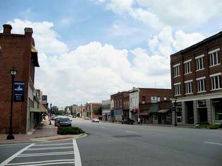 Hawkinsville Image
