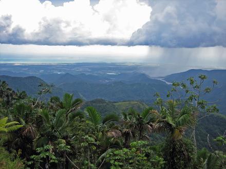 Jayuya Image