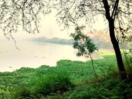 Krishnanagar (Indien) Image