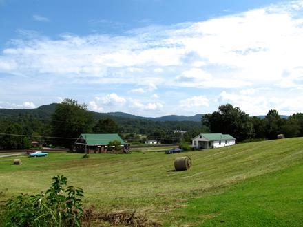 Winfield Image