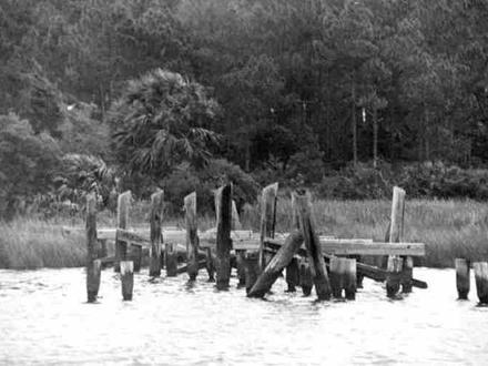 Port Leon Image