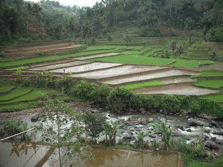 Kota Tasikmalaya Image