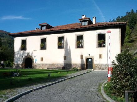 Mieres Image